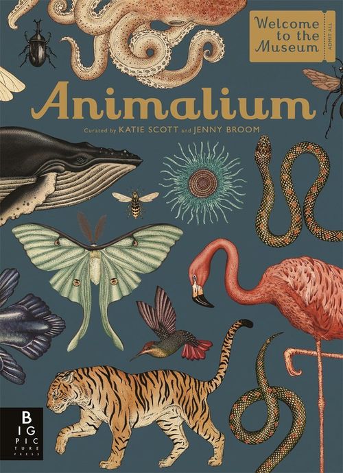 cumpără Animalium: (Welcome To The Museum) în Chișinău 