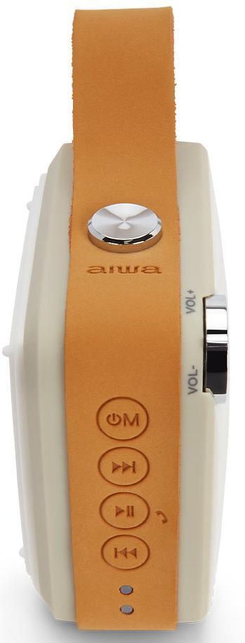 купить Колонка портативная Bluetooth Aiwa BS-100GY в Кишинёве 