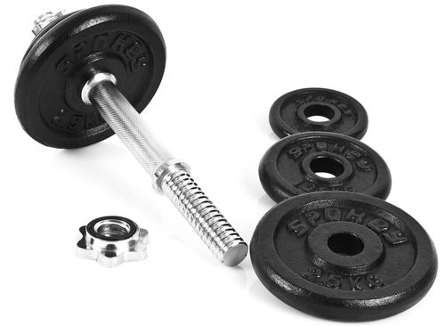 купить Гантель Spokey 84231 2X10кг EGIR в Кишинёве 