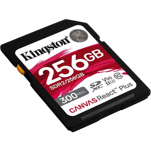 cumpără Card de memorie flash Kingston SDR2/256GB în Chișinău 