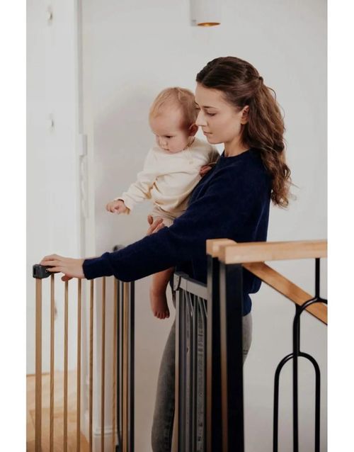 купить Детская безопасность Lionelo Truus Slim Black Carbon Natural в Кишинёве 