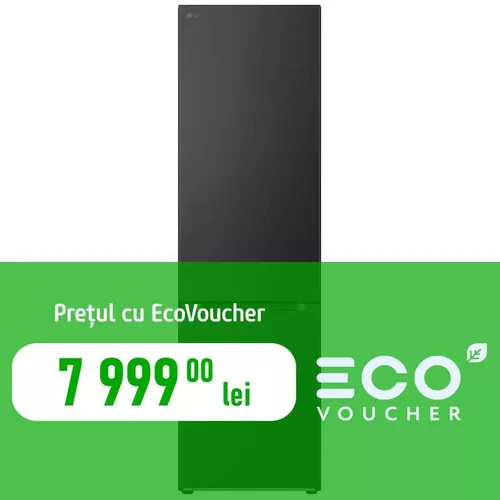 cumpără Frigider cu congelator jos LG GBV7280DEV în Chișinău 