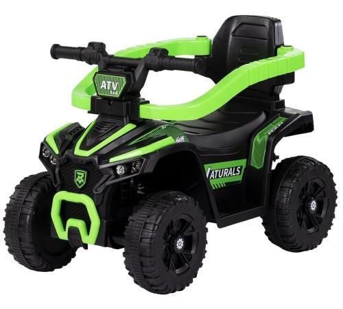 купить Толокар Chipolino ROCATVH02503GR ATV с ручкой green в Кишинёве 