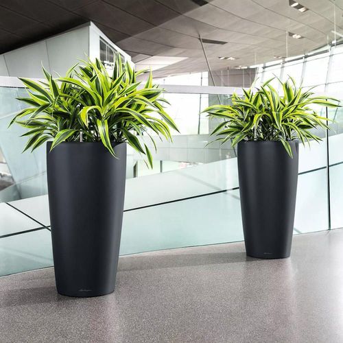 купить Цветочный горшок Lechuza Rondo Premium 32, Black Matt в Кишинёве 