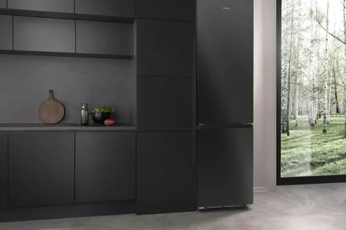купить Холодильник с нижней морозильной камерой Hisense RB5P410SBFC в Кишинёве 