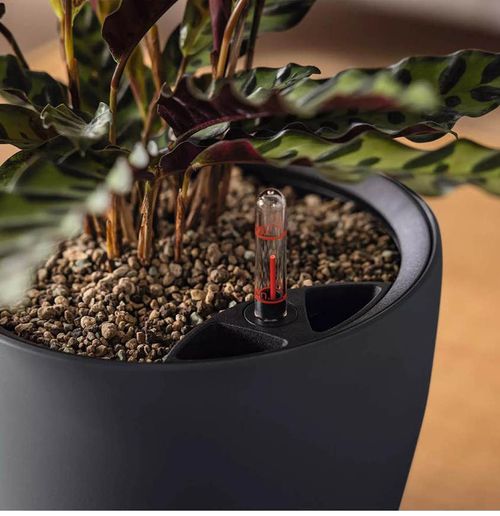 cumpără Ghiveci pentru flori Lechuza Classico Color 28 All In One Slate în Chișinău 