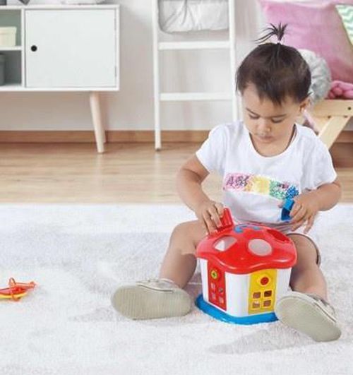 купить Головоломка Dolu 5096 Sorter в Кишинёве 