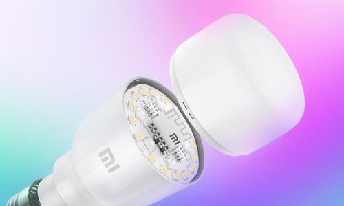 купить Лампочка Xiaomi Mi Smart Led Bulb Essential в Кишинёве 