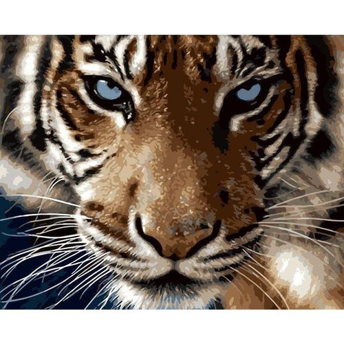 купить Картина по номерам Richi (03628) Privire de tigru 40x50 в Кишинёве 
