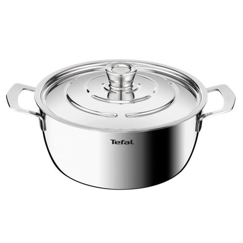 купить Кастрюля Tefal E3394655 Emotion+ Gourmet 24cm 4,4l в Кишинёве 