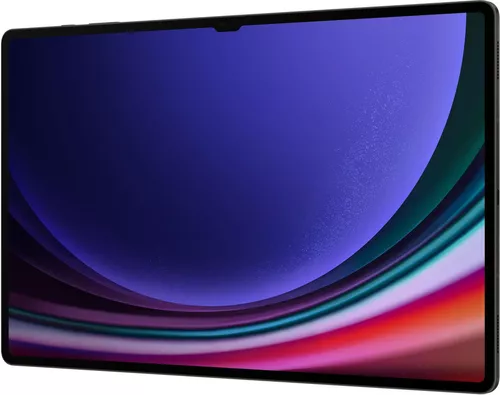 купить Планшетный компьютер Samsung X916/512 Galaxy Tab S9 Ultra 5G в Кишинёве 