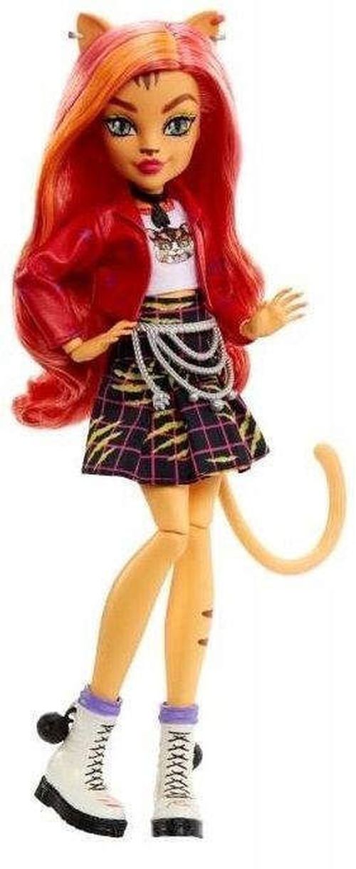 купить Кукла Mattel HHK57 Monster High в Кишинёве 