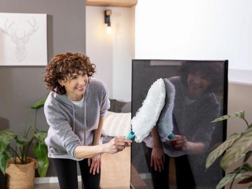 купить Аксессуар для уборки LEIFHEIT 41250/03 Perie praf Super Duster XL 675679 в Кишинёве 