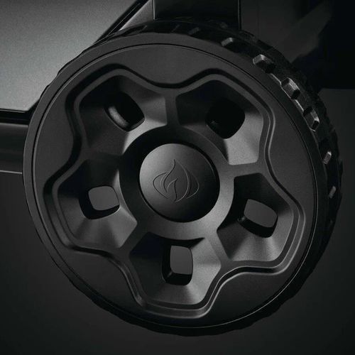 cumpără Grătar Napoleon Gratar pe gaz Legend 365 cu aragaz lateral (LD365SBPK-CZ) în Chișinău 