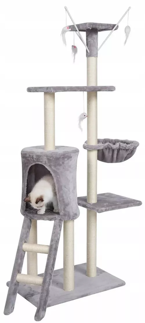 cumpără Centru de joc pentru pisici Jumi CD-264960 Gri/alb în Chișinău 