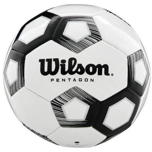 купить Мяч Wilson 2554 Minge fotbal N4 Pentagon WTE8527XB04 в Кишинёве 