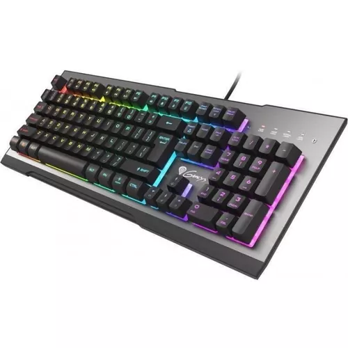 купить Игровая клавиатура Genesis NKG-1617/Rhod 500 US Layout в Кишинёве 