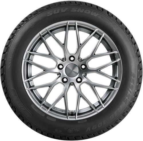 купить Шина Riken 235/55 R 19 105V TL SUV SNOW XL в Кишинёве 