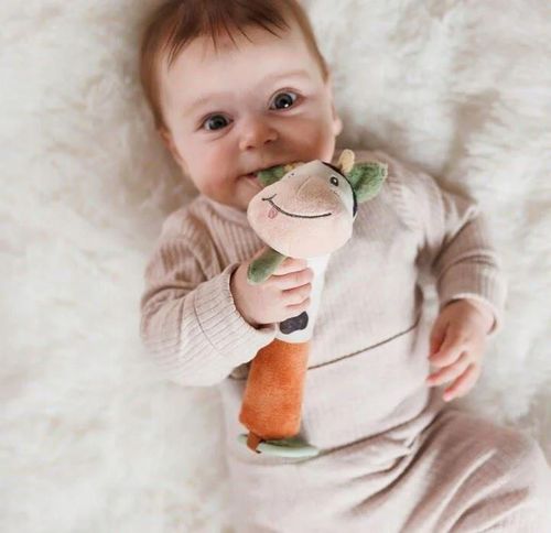 cumpără Jucărie de pluș BabyOno 1682 Jucarie Rabbit Karo în Chișinău 