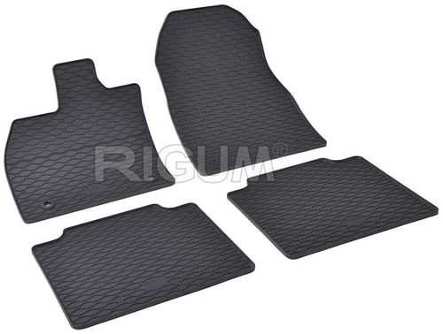 купить Коврик для автомобиля Rigum Toyota bZ4X 22-/ Subaru Solterra 22-/ Lexus RZ 22-/ в Кишинёве 