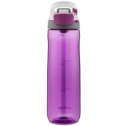 cumpără Sticlă apă Contigo Cortland Tritan Radiant Orchid 720 ml în Chișinău 