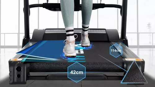 купить Беговая дорожка Thunder ICON-D Black в Кишинёве 