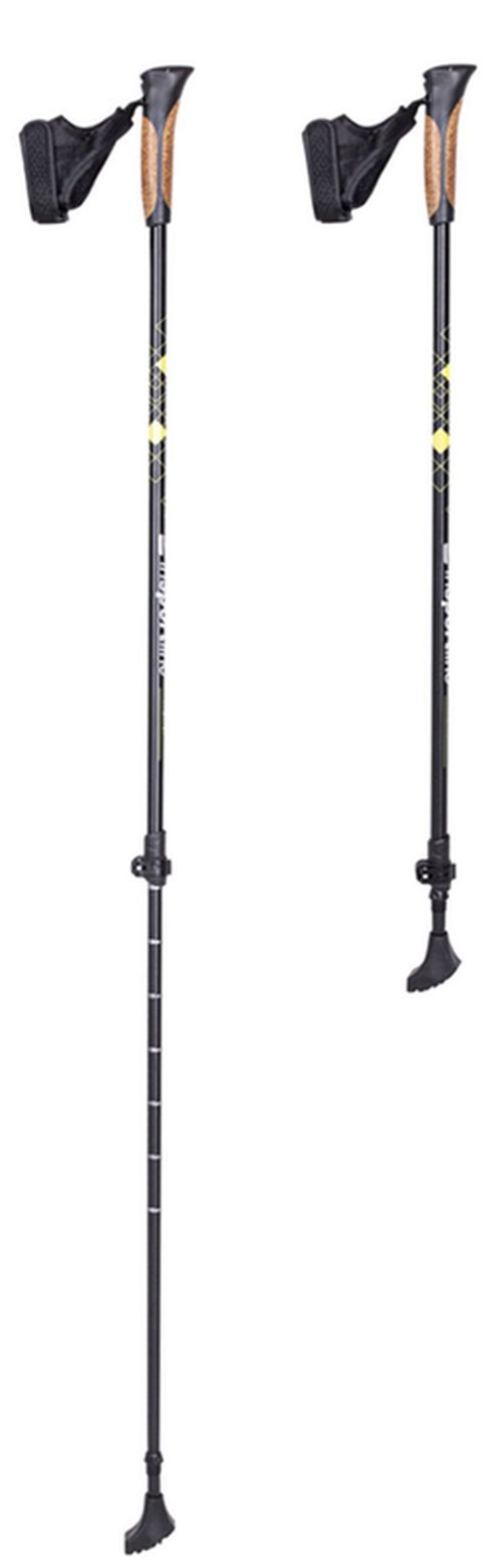 cumpără Bețe pentru trekking inSPORTline 13585 Baston treking IN20305 (2buc) 83-135cm Hallti în Chișinău 