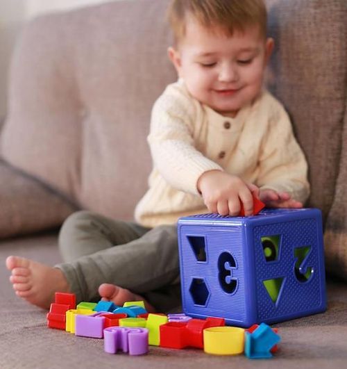 cumpără Puzzle Essa 57116 Cub-Sorter în Chișinău 