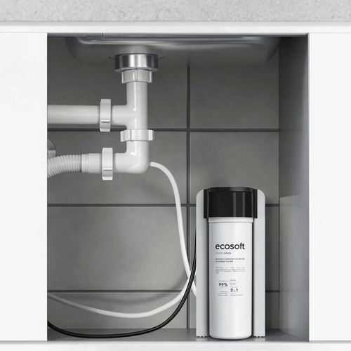 купить Фильтр проточный для воды Ecosoft 47EK0615 Sistem cu osmoza inversa Ecosoft Cross Solo в Кишинёве 