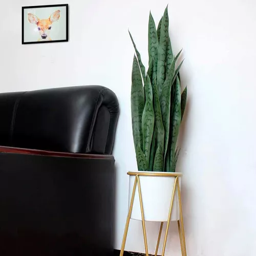 купить Декор Promstore 49465 Planta artificiala Sansevieria 92cm, in ghiveci в Кишинёве 