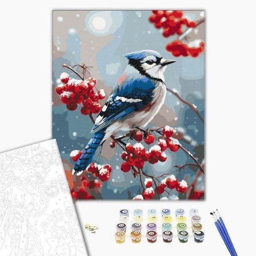 cumpără Tablou pe numere BrushMe BS54498FC 40x50cm (fără cutie) Pasăre pe ramura înghețată în Chișinău 