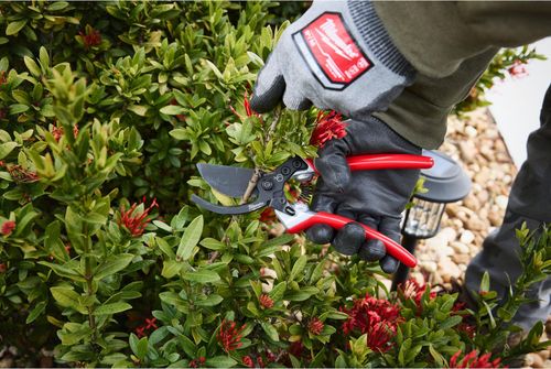 cumpără Foarfecă de gradină Milwaukee 4932498621 taiere ramuri 25mm în Chișinău 
