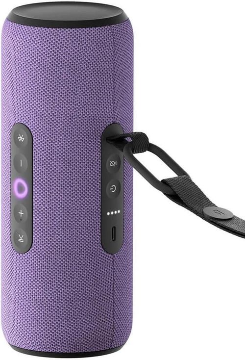 cumpără Boxă portativă Bluetooth Yandex YNDX-00030VIO Alisa Station Street Violet în Chișinău 