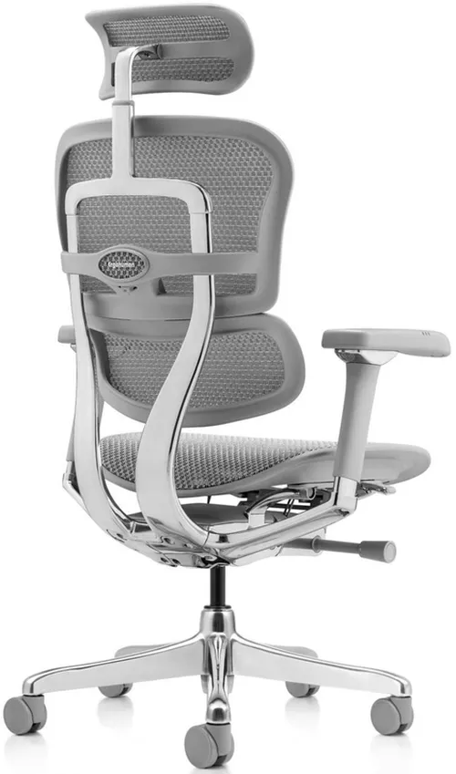 купить Офисное кресло ART Ergohuman Luxury 2 Natural T-168-B2 EHL2-AG-HAM-5D-D в Кишинёве 