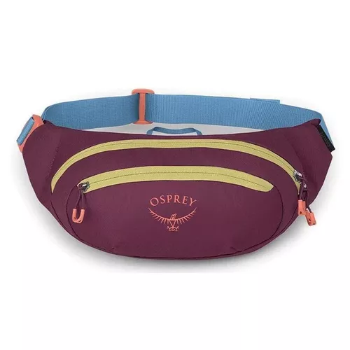 купить Поясная сумка Osprey Daylite Waist moody burgundy hip (810145598719) в Кишинёве 