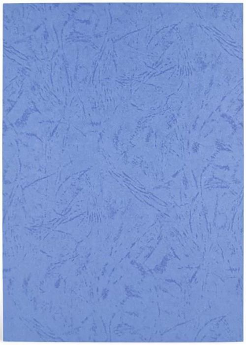 купить Бумага офисная Argo AR432031 Carton Delta A3, 250g/m2, 100 foi, albastra в Кишинёве 