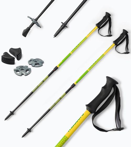 купить Треккинговые палки Masters SCOUT JUNIOR (01S5219) в Кишинёве 