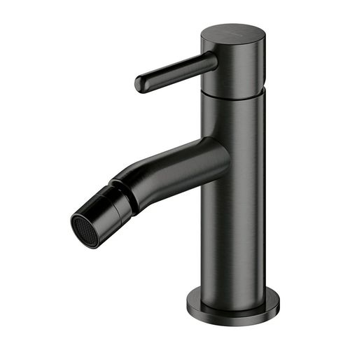 cumpără Baterie pentru bideu Omnires Baterie Y (Bideu) Brushed Graphite Y1220GR în Chișinău 