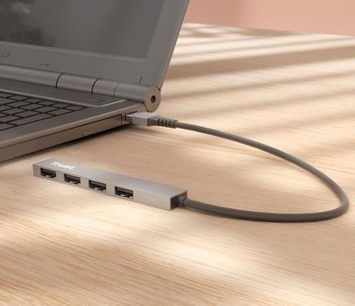 купить USB Hub Trust HALYX 4-PORT Mini USB HUB, silver в Кишинёве 