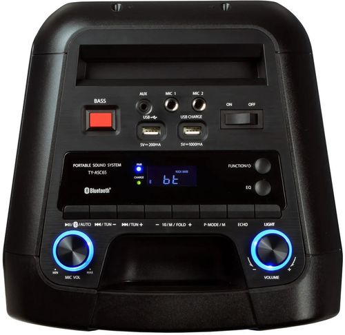 купить Аудио гига-система Toshiba TY-ASC66 в Кишинёве 