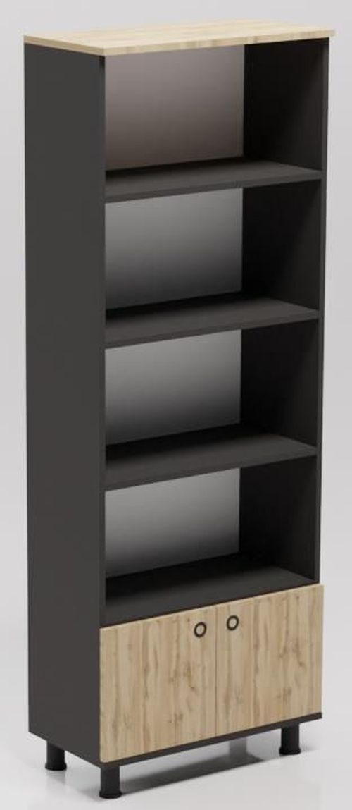 купить Офисный шкаф Smartex Maxi Чёрный/Дуб Тёмный в Кишинёве 