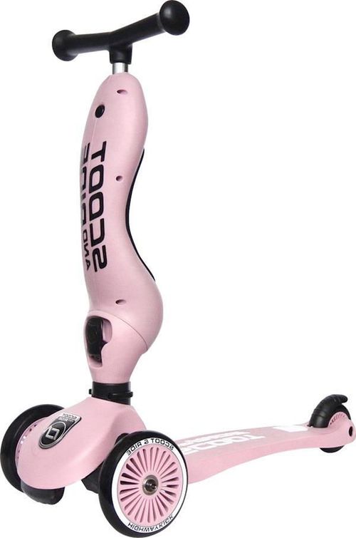 купить Самокат Scoot&Ride 96270 Highway 2in1 Kick 1 Rose в Кишинёве 
