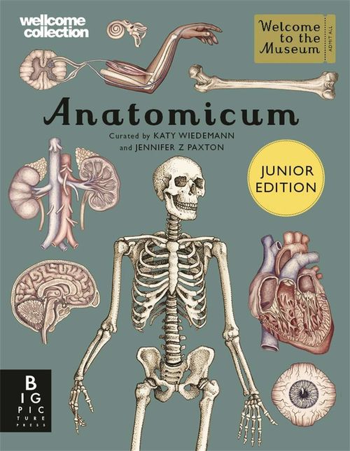 cumpără Anatomicum Junior (Welcome To The Museum) în Chișinău 