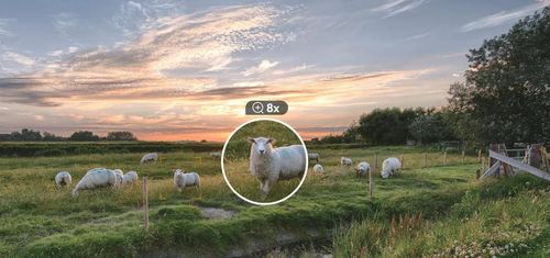 cumpără Cameră de supraveghere IMOU IPC-S21FTP-EU (Cruiser 4G) + MicroSD 64Gb în Chișinău 