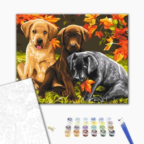 купить Картина по номерам BrushMe RBS6530FC 30x40cm (fără cutie) Trei căței в Кишинёве 