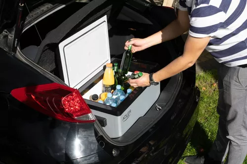 купить Холодильник портативный Adler AD 8081 в Кишинёве 