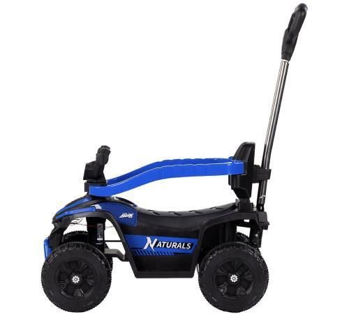 купить Толокар Chipolino ROCATVH02504BL ATV с ручкой blue в Кишинёве 