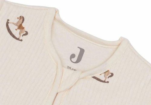 cumpără Haine pentru copii Jollein 016-542-67103 Sac de dormit cu maneci detasabile Nostalgic Ride, 110cm în Chișinău 