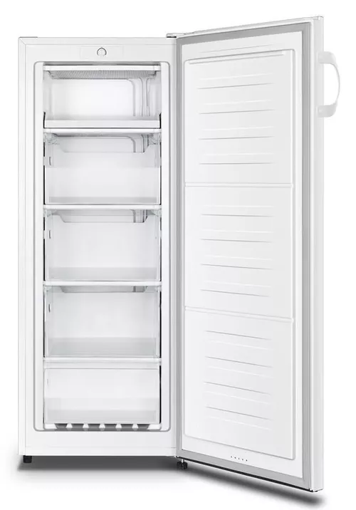 купить Морозильник Gorenje F4142PW в Кишинёве 