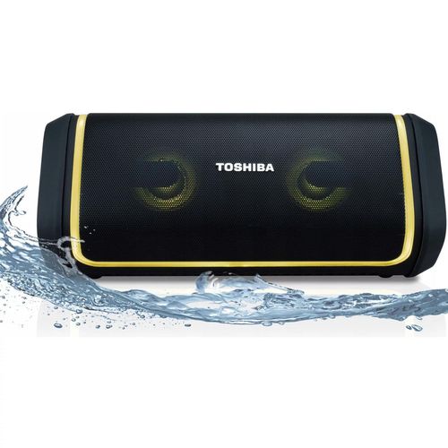 cumpără Boxă portativă Bluetooth Toshiba TY-WSP150 în Chișinău 
